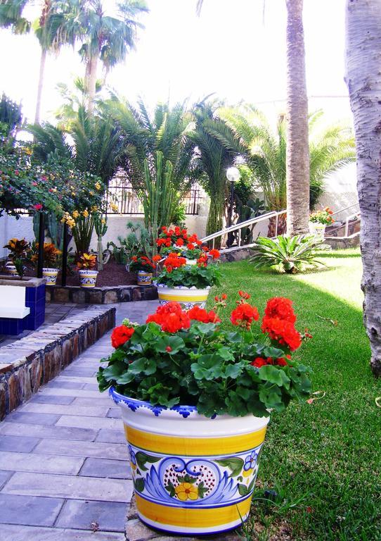 Tamaragua *